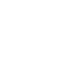 Wilderness Campers - Choose your own adventure