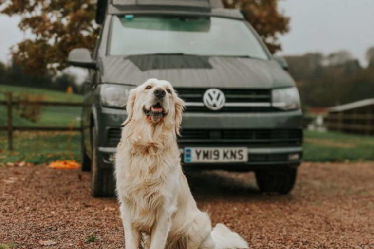 Dog Sat Beside Campervan.jpg